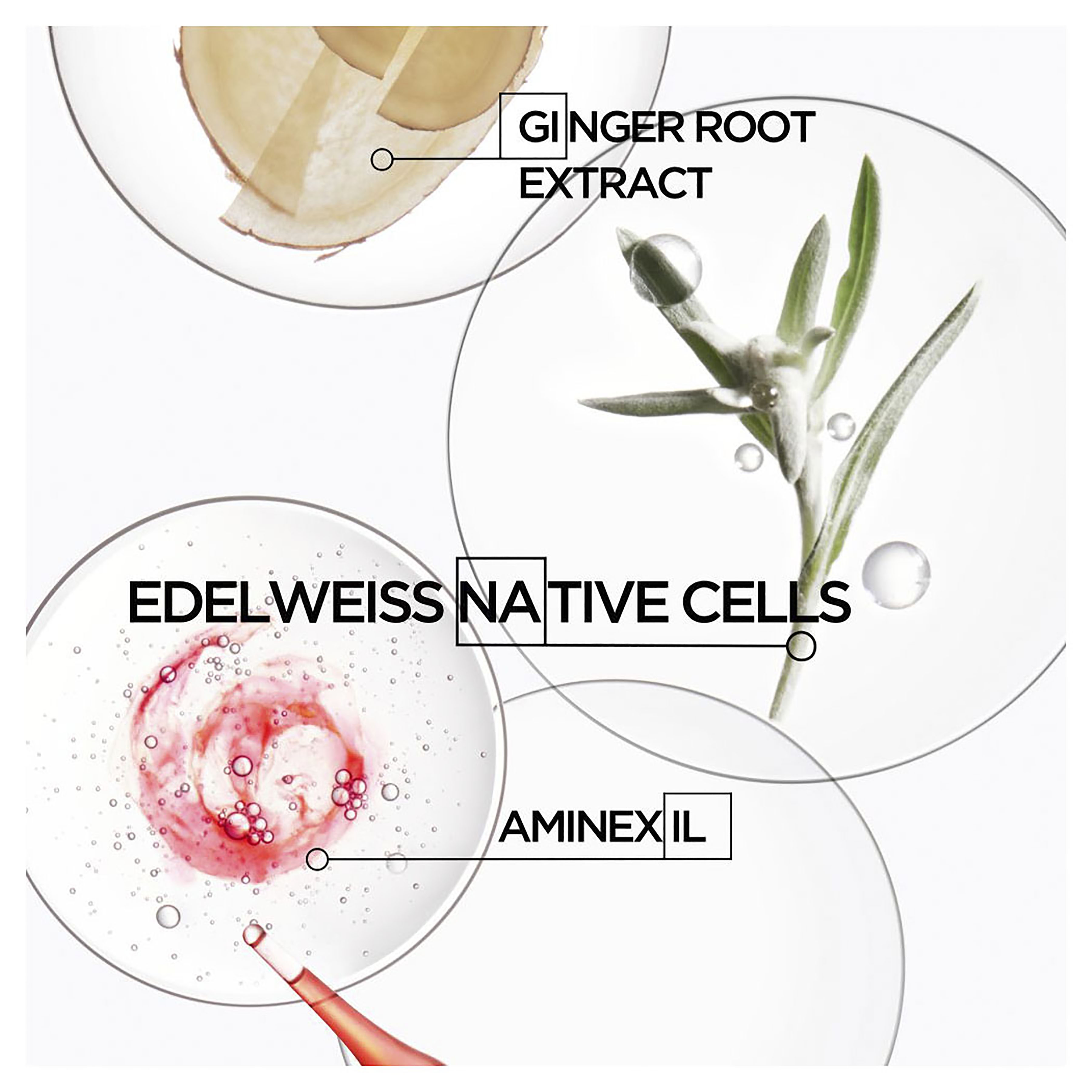 Kérastase Genesis Fondant Renforcateur Conditioner 200ml